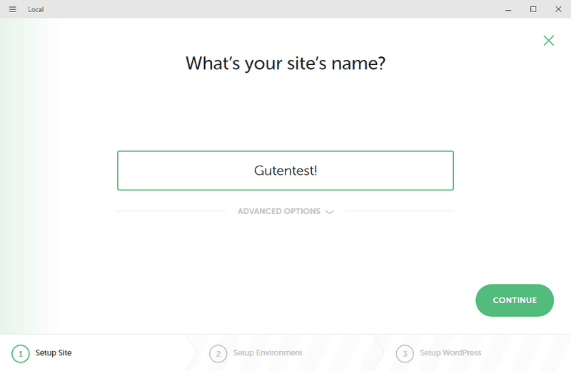 Configurando tu primer sitio con Local: nombre del sitio